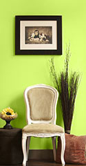 Bright green room behind decor
