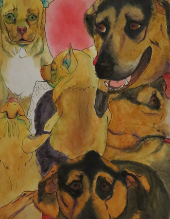 A collection of images of two dogs, infront of a pink/red background.