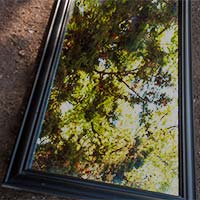 Mirror on barren soil reflecting trees above