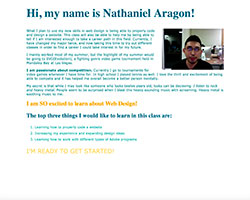 picture of my first page website