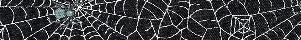 image of spider web