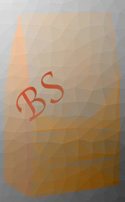 Bagged Soup's logo