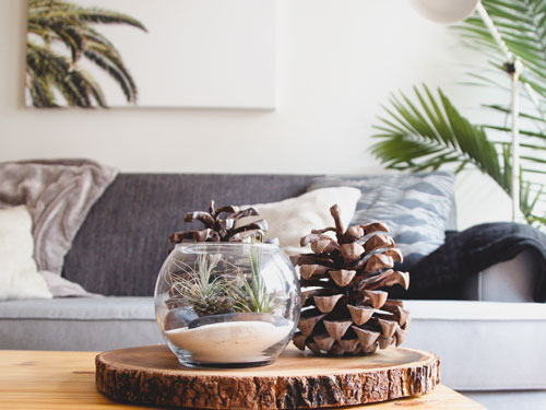 Click to read the blog post on Why Small Details Matter