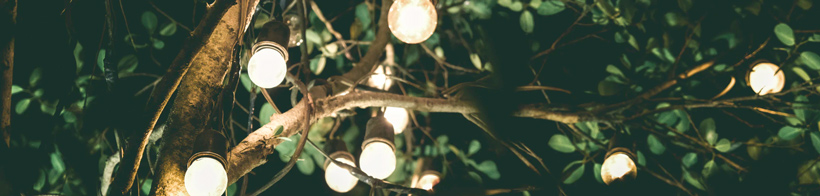 A string of lights in the trees creating ambiane.