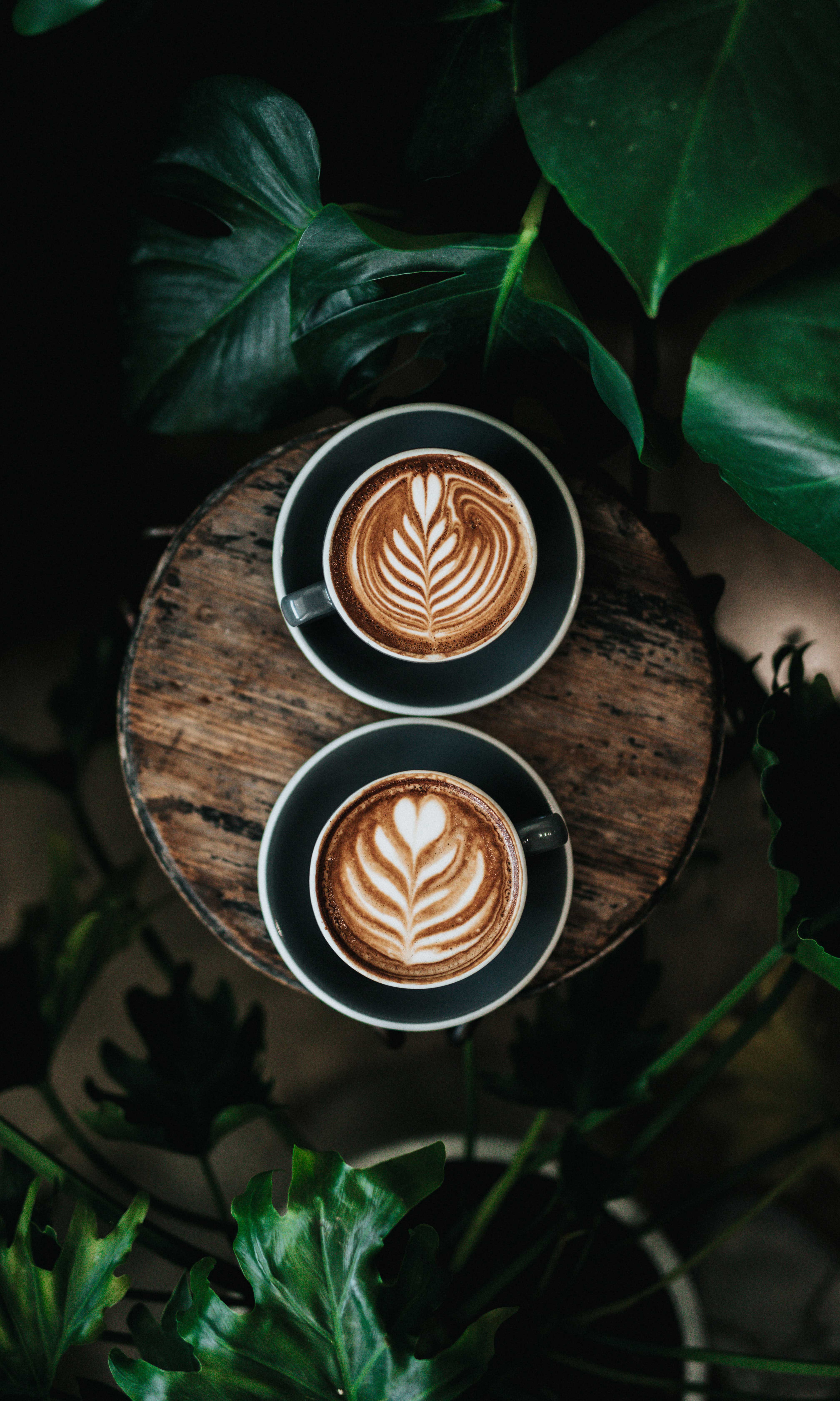 Two mugs of latte surrounded by plants
