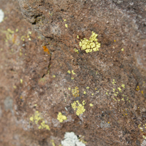 A close-up of some rocks with specks of color placed randomly on the surface.