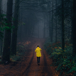 Click to go Washington Rain 400 page