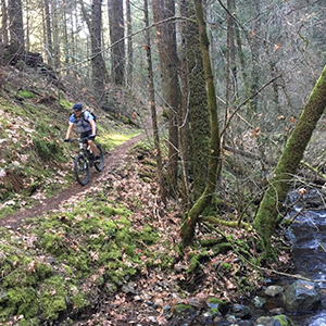 Click to go on Yuba Trail page