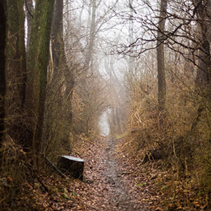Click to go on Ghost Road page
