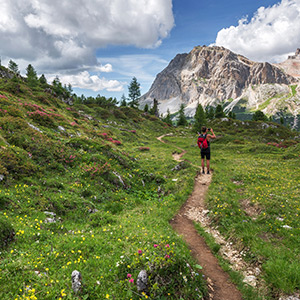 Click to go Court Meadow Route page