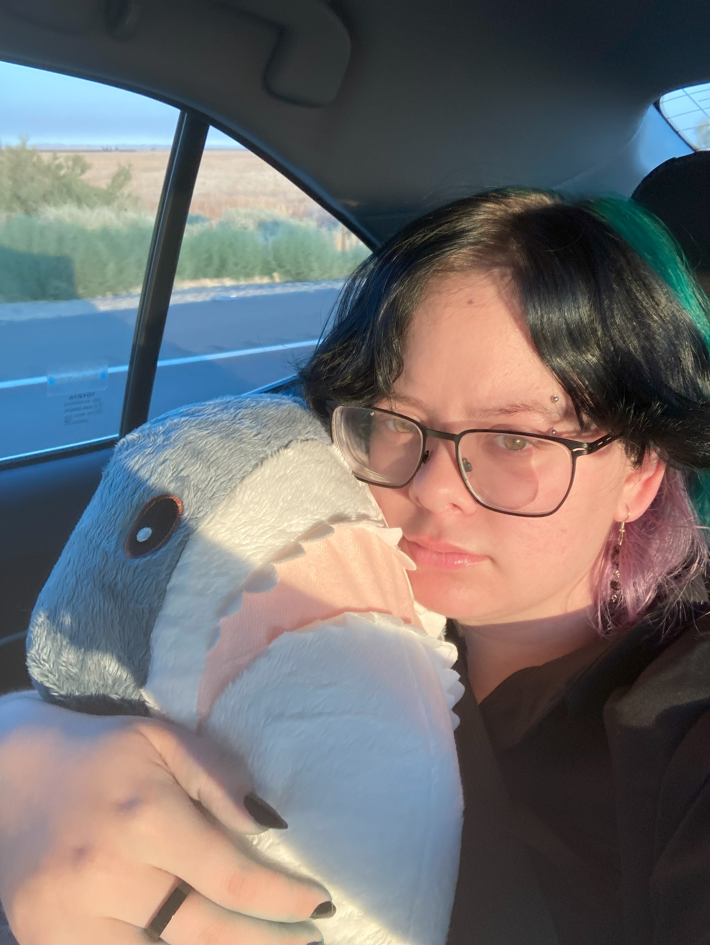 A picture of a person looking at the camera and holding a shar plushie next to their face