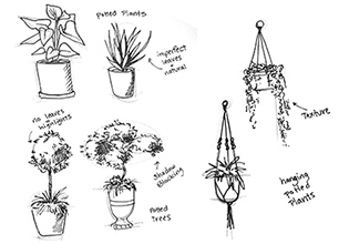 Sketches of foliage Page 1