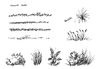 Sketches of foliage Page 3