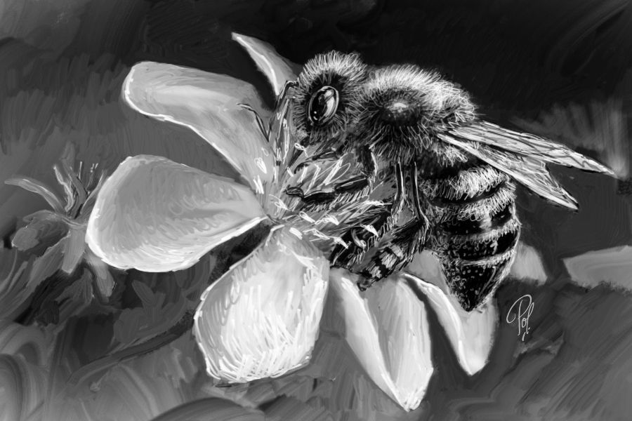 Bee