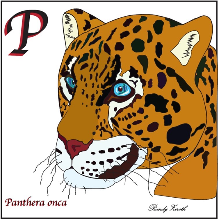 colored digital picture of the jaguar from adobe illustrator