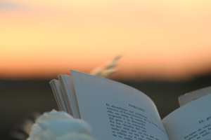  A book opened in front of a sunset.