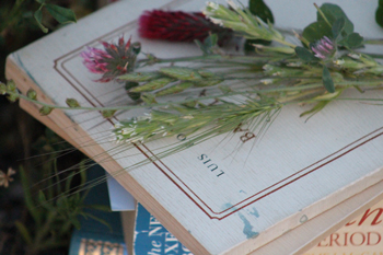  Literature books with wild flowers on them.