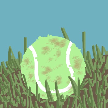 Old, dirty tennis ball